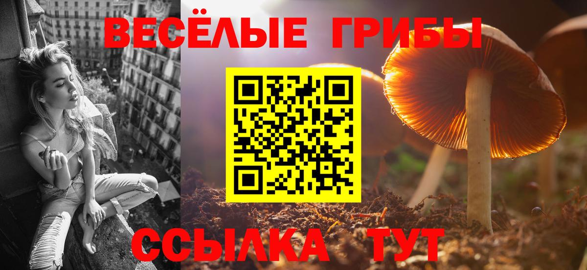Псилоцибиновые грибы прущие грибы  Вход с VPN  Владивосток 