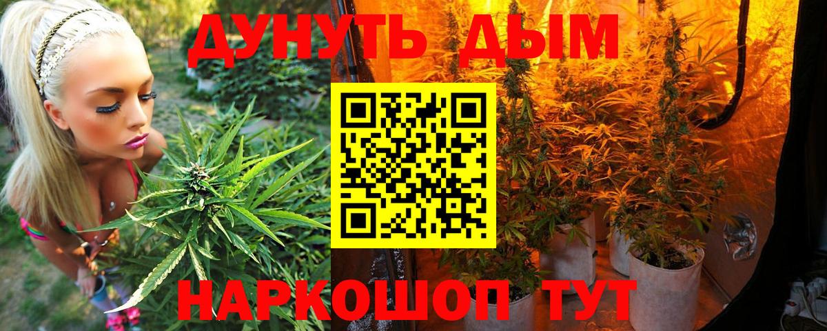 Конопля LSD WEED  Конопля White Widow  Вход с VPN  Владивосток  Конопля Amnesia 